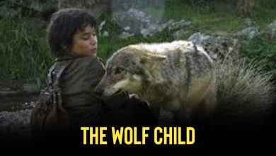 The Wolf Child Full Movie with English Subtitles